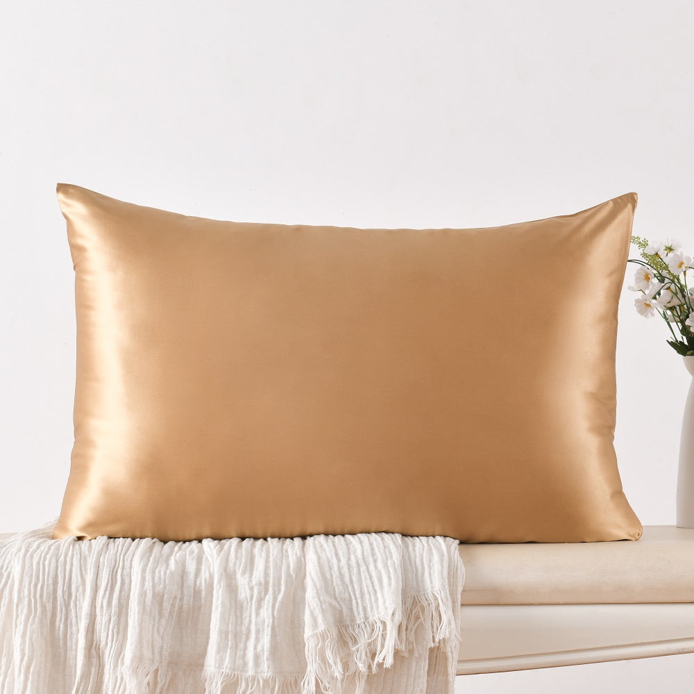 WHOLINENS 100% Mulberry Silk Pillowcase, Hidden Zipper, Reversible 1pc, 20x30"