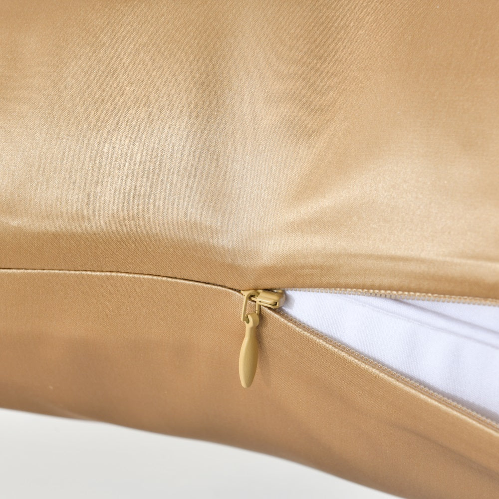 WHOLINENS 100% Mulberry Silk Pillowcase, Hidden Zipper, Reversible 1pc, 20x30"