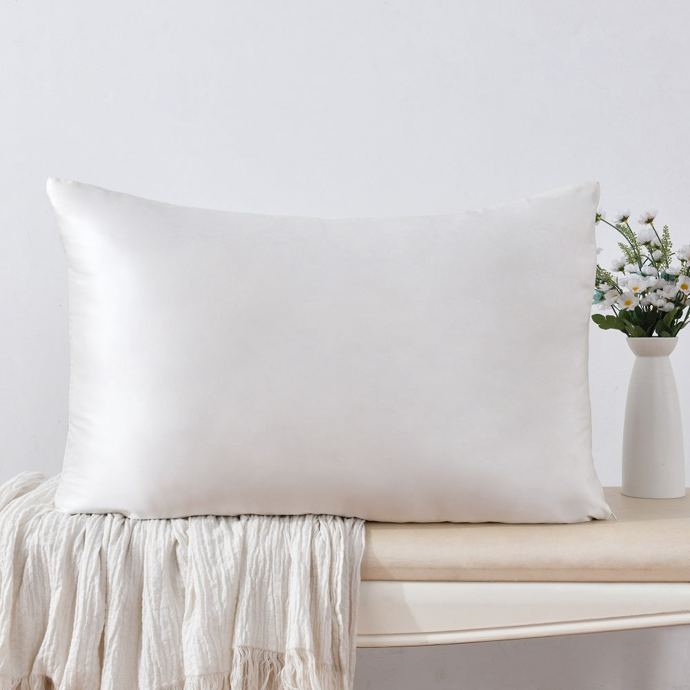 WHOLINENS 100% Mulberry Silk Pillowcase, Hidden Zipper, Reversible 1pc, 20x30"